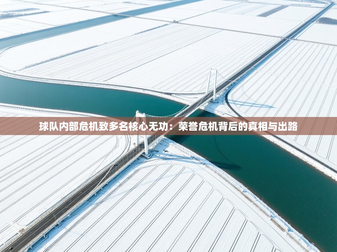 球队内部危机致多名核心无功：荣誉危机背后的真相与出路  第2张